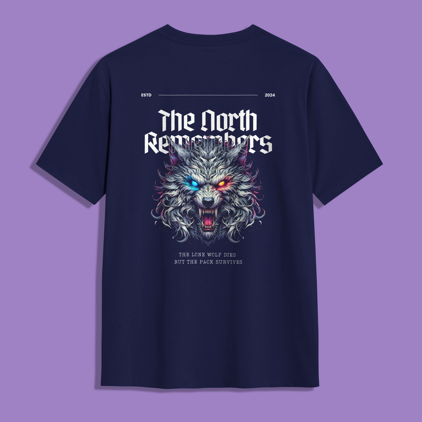 North Remembers Unisex T-Shirt | Winter is Coming | Game of Thrones T-Shirt