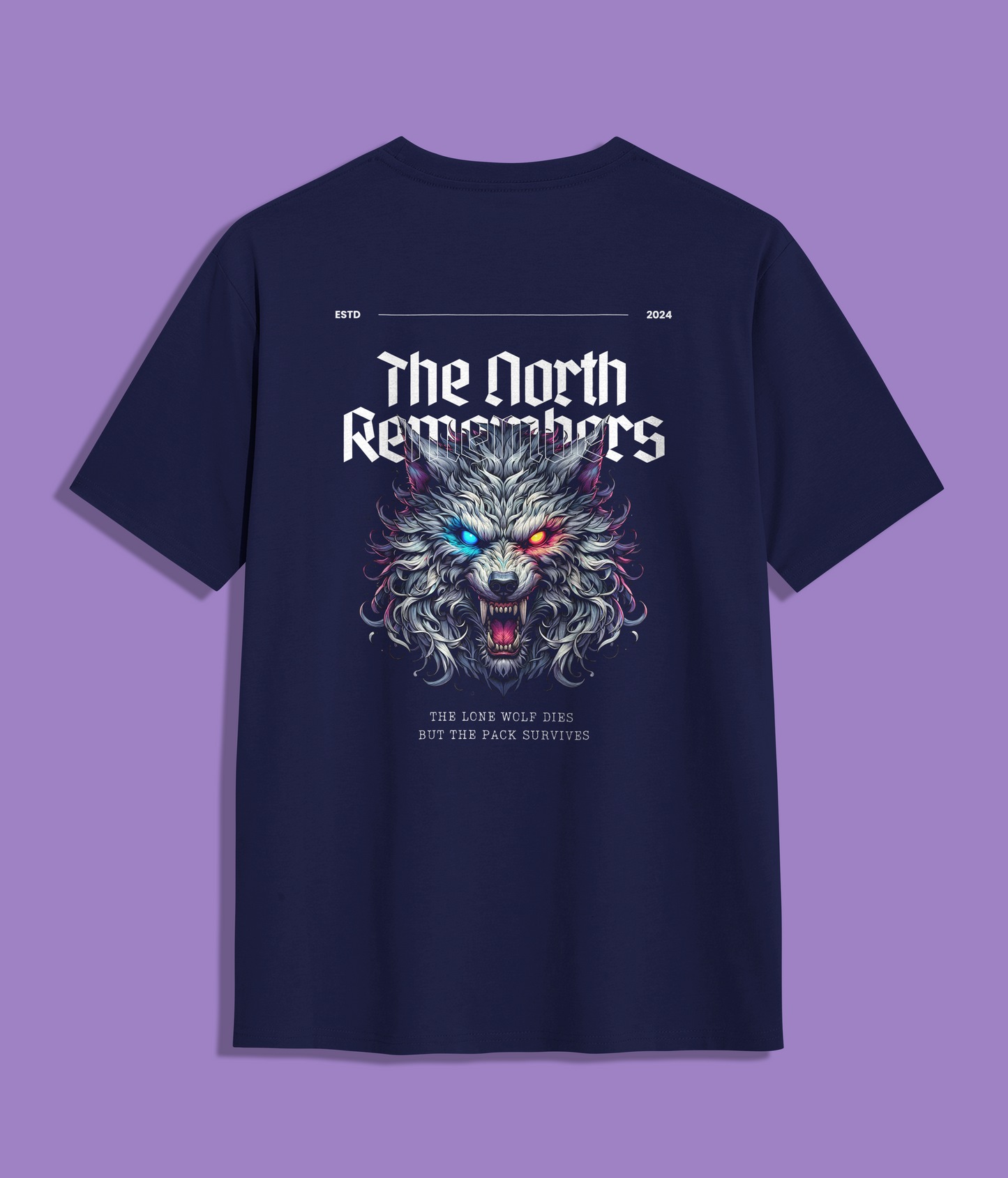 North Remembers Unisex T-Shirt | Winter is Coming | Game of Thrones T-Shirt